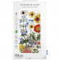 iDeal of Sweden – iPhone SE 2020/8/7/6S/6 Coque Flower Meadow