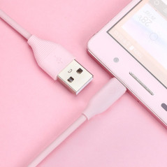 Câble USB Type-C 1mt TOTUDesign Fruitful Series Rose