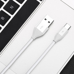 Câble USB Type-C 1mt TOTUDesign Fruitful Series Blanc